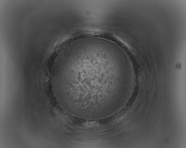 X0000089921447200707061010