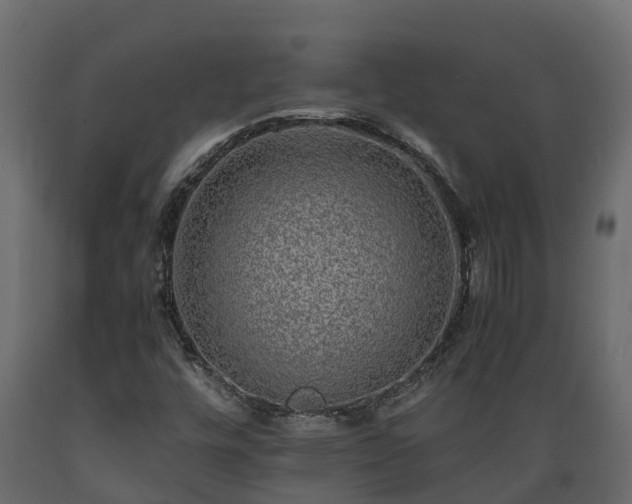 X0000089921448200707061010