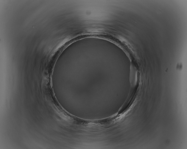 X0000089921449200707061010