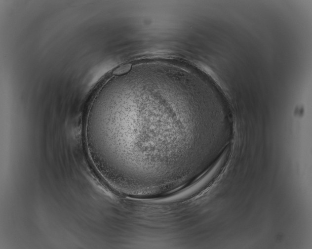X0000089921450200707061010