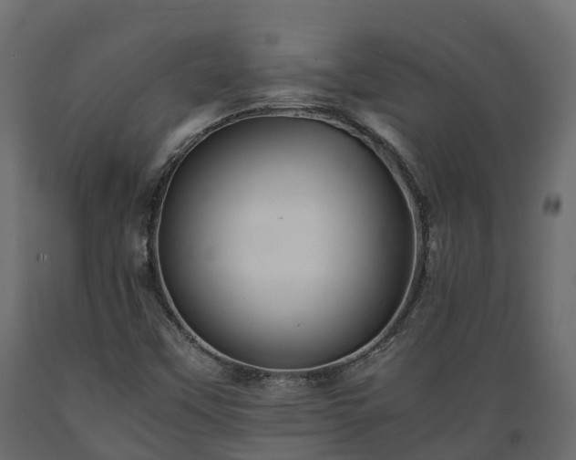X0000089921451200707061010