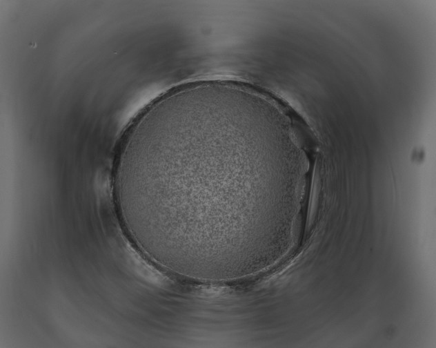 X0000089921452200707061009