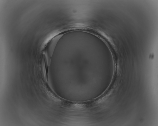 X0000089921453200707061009
