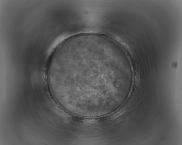 X0000089921454200707061009