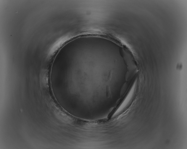 X0000089921455200707061009