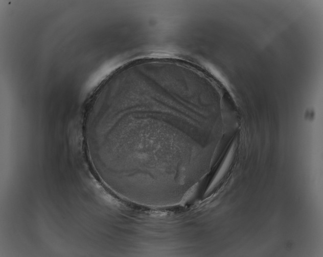 X0000089921456200707061009