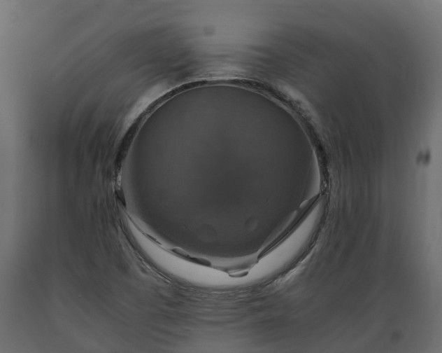 X0000089921457200707061009