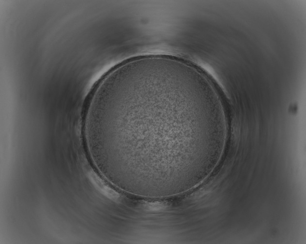 X0000089921460200707061009