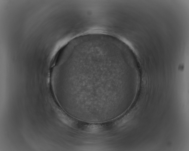 X0000089921461200707061009