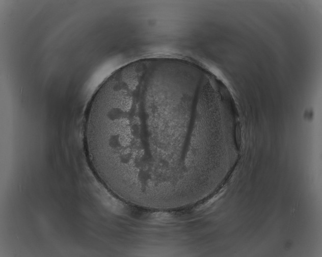X0000089921463200707061009