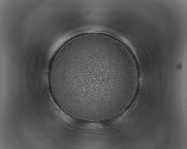 X0000089921464200707061009