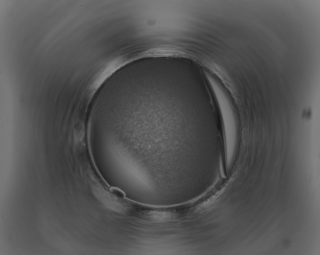 X0000089921465200707061009
