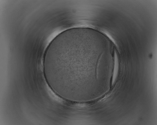 X0000089921468200707061009