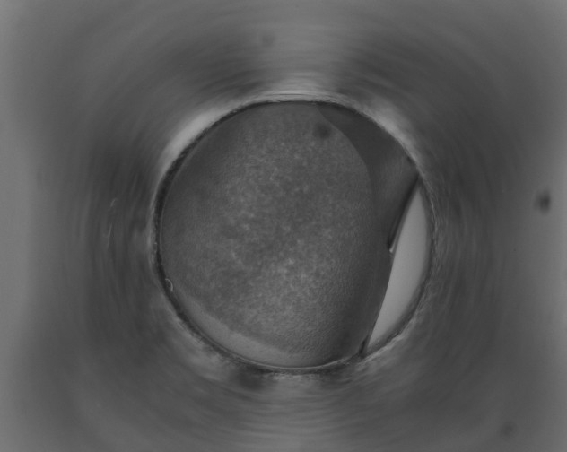 X0000089921469200707061009