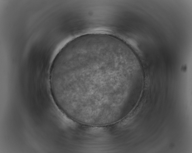 X0000089921470200707061009