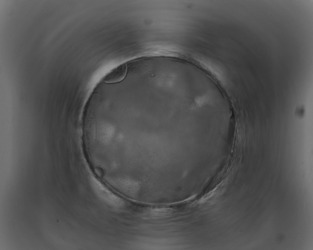 X0000089921471200707061009