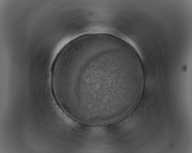 X0000089921472200707061009