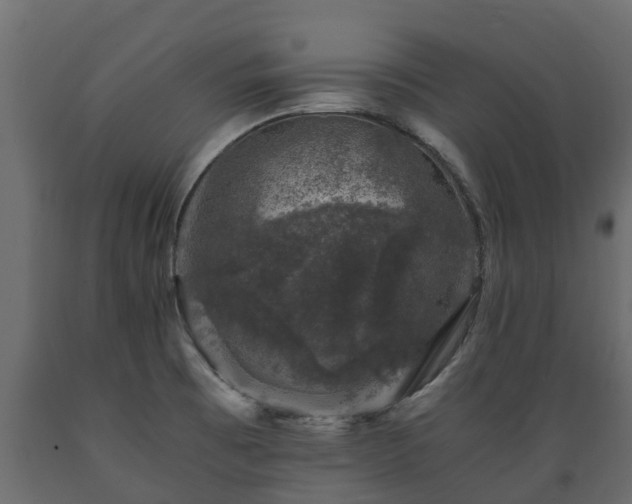 X0000089921473200707061009