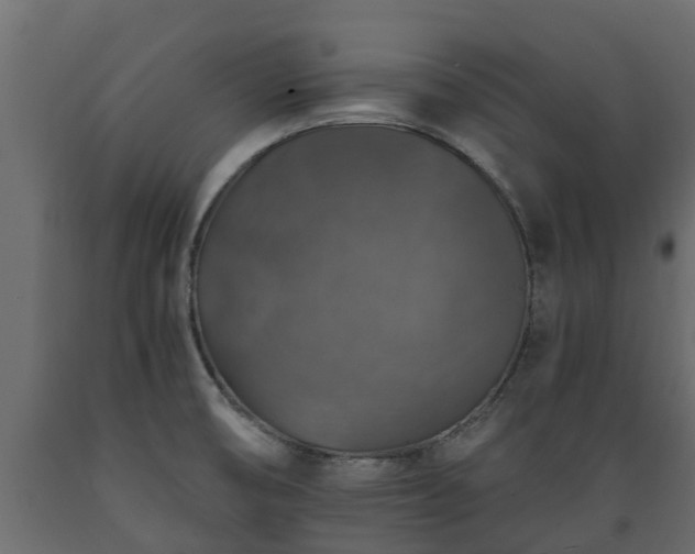 X0000089921474200707061009