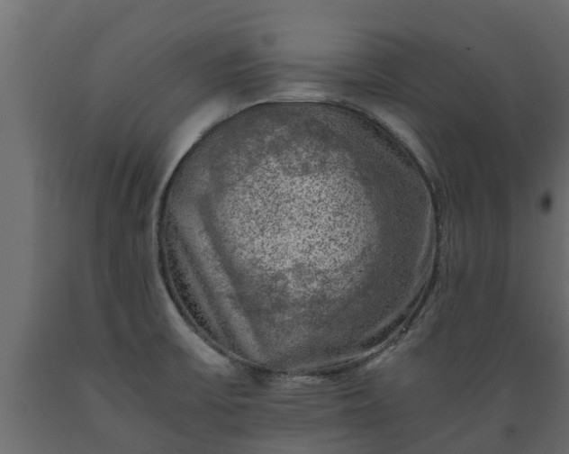 X0000089921475200707061009