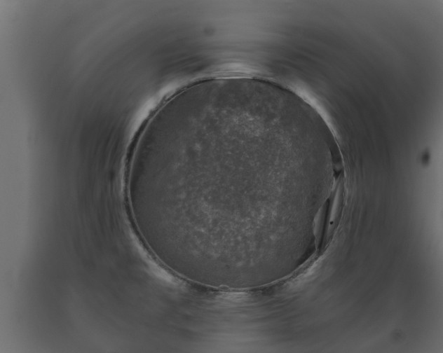 X0000089921477200707061009