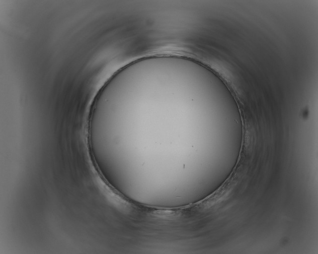 X0000089921478200707061009