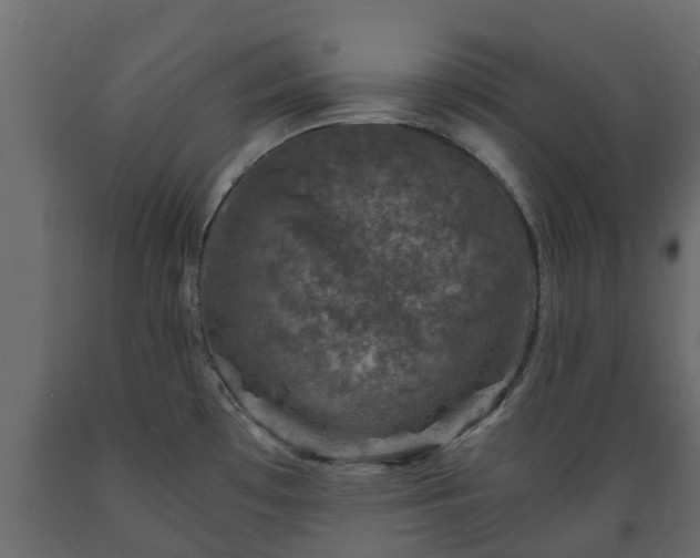 X0000089921481200707061009