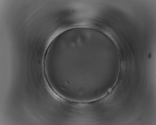 X0000089921482200707061009