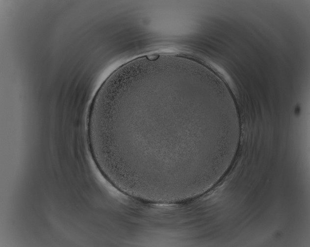 X0000089921483200707061009