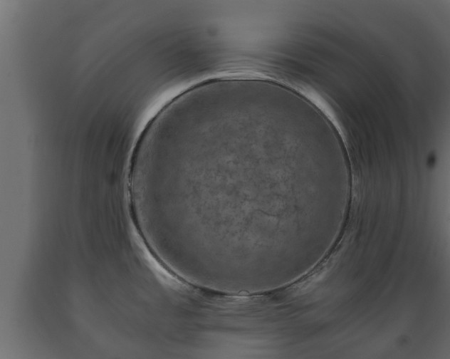 X0000089921485200707061009