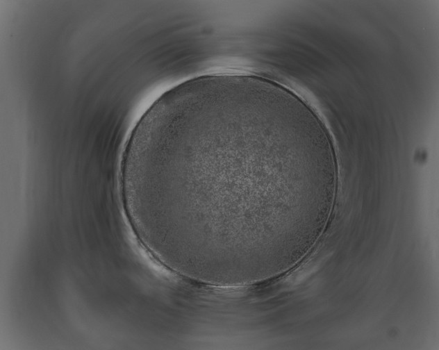 X0000089921488200707061009