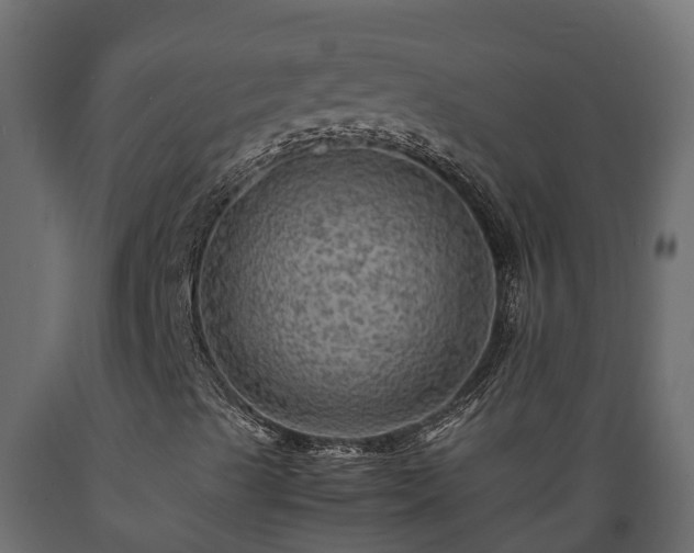 X0000089921489200707061008
