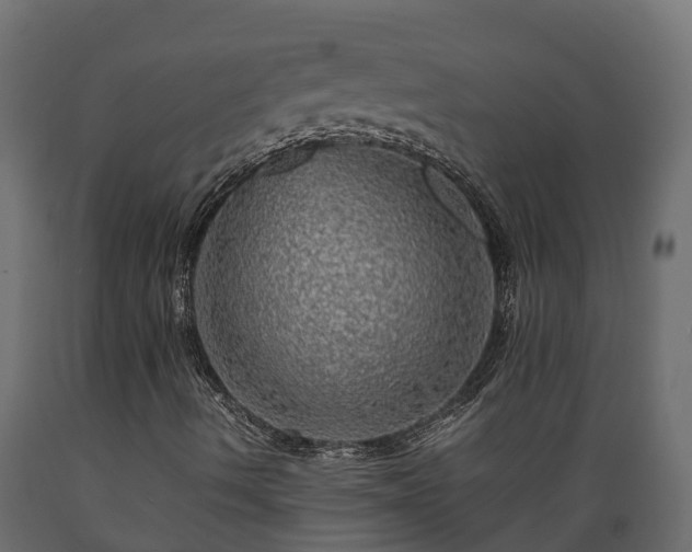 X0000089921490200707061008
