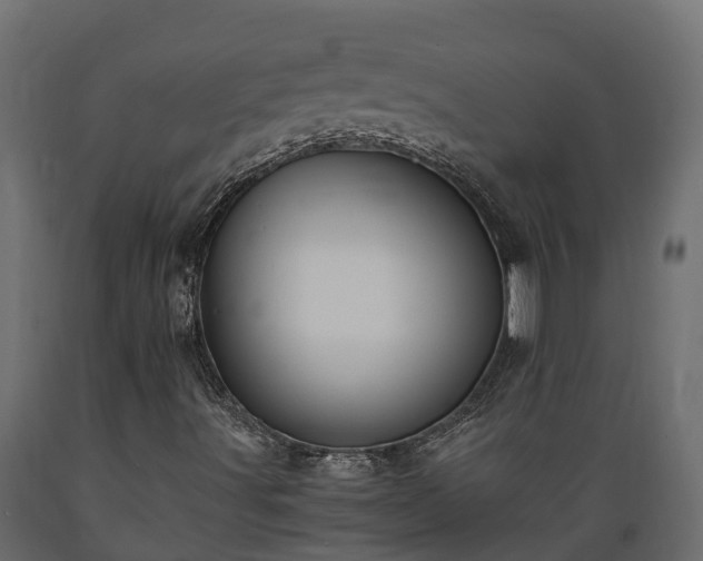 X0000089921491200707061008