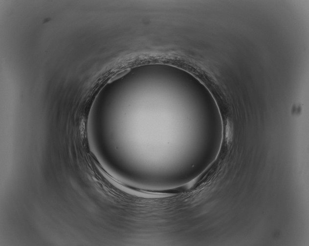 X0000089921492200707061008