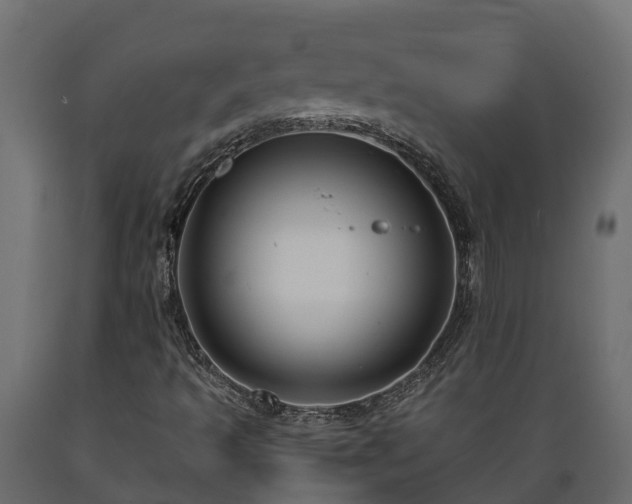 X0000089921493200707061008