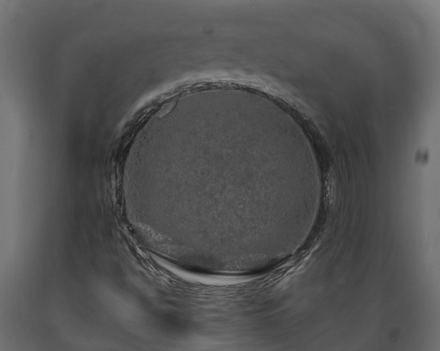 X0000089921494200707061008