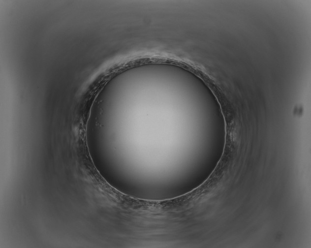 X0000089921495200707061008