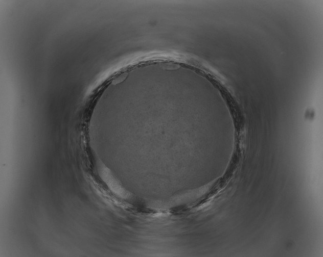 X0000089921496200707061008