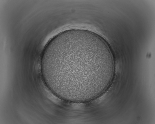 X0000089921498200707061008