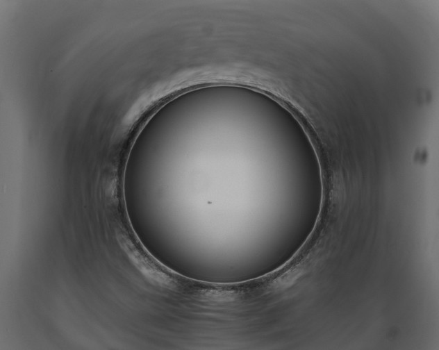 X0000089921499200707061008