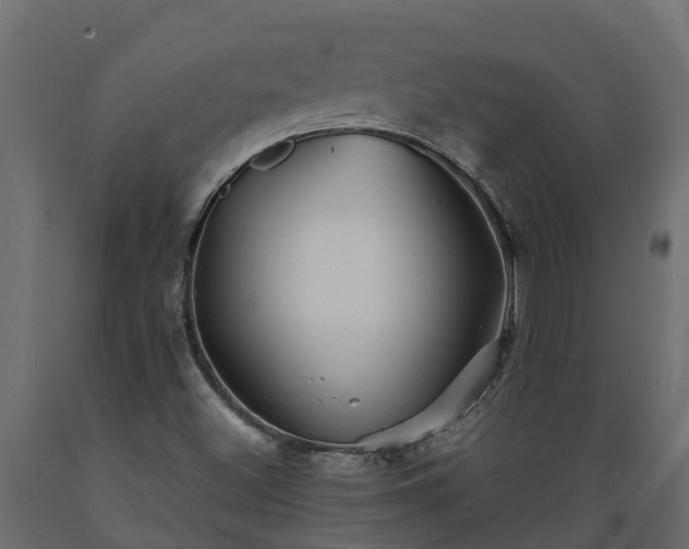 X0000089921500200707061008
