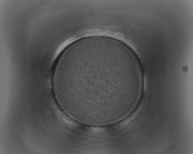 X0000089921501200707061008