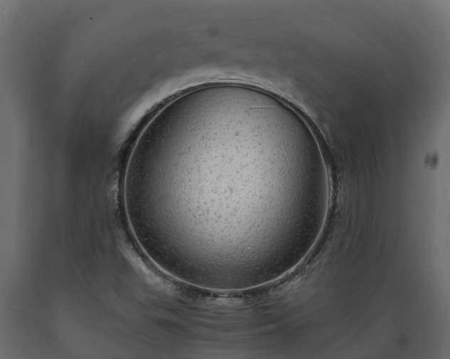 X0000089921503200707061008