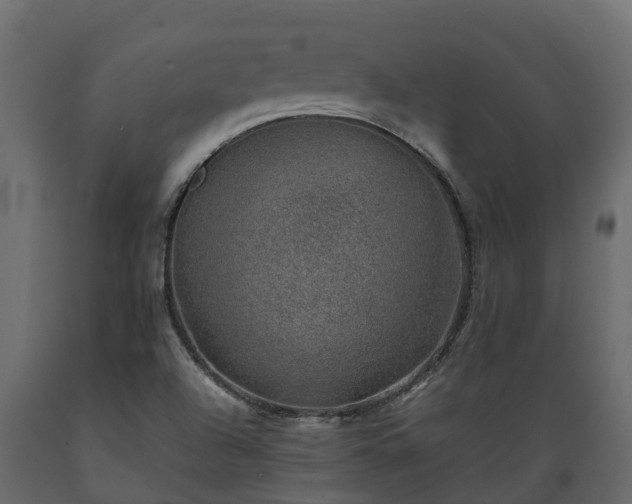 X0000089921504200707061009