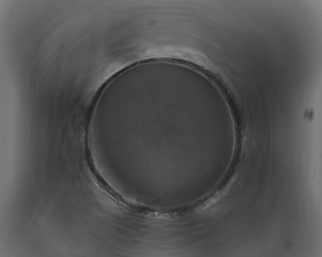 X0000089921505200707061009