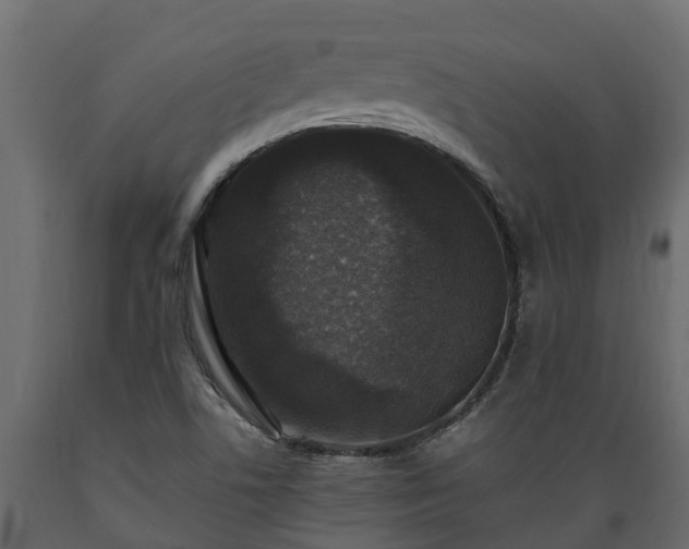 X0000089921506200707061009