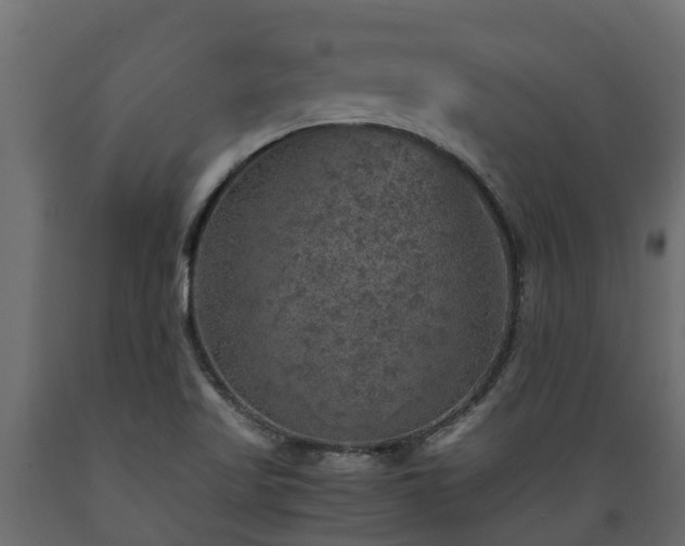 X0000089921509200707061009
