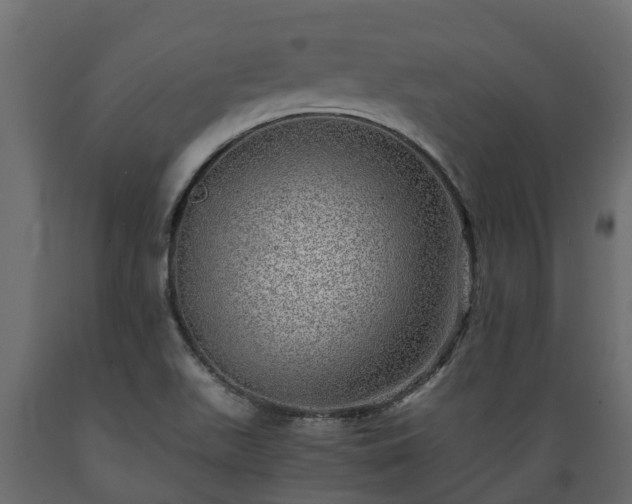 X0000089921511200707061009