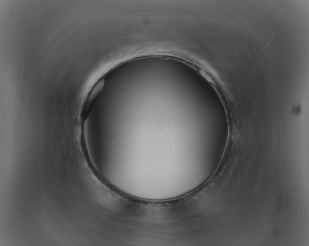 X0000089921512200707061009